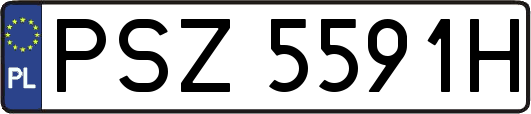 PSZ5591H