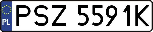 PSZ5591K