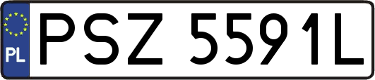 PSZ5591L
