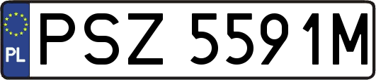 PSZ5591M