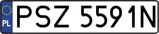 PSZ5591N