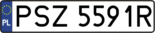 PSZ5591R