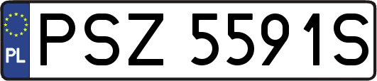 PSZ5591S