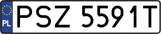 PSZ5591T