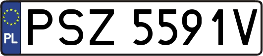 PSZ5591V