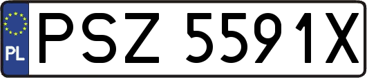PSZ5591X