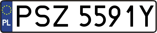 PSZ5591Y