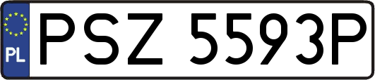 PSZ5593P