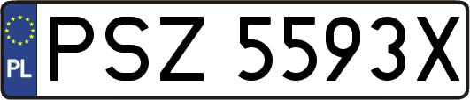 PSZ5593X