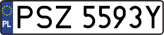 PSZ5593Y