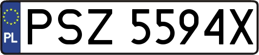PSZ5594X