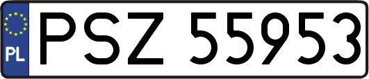 PSZ55953
