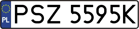 PSZ5595K