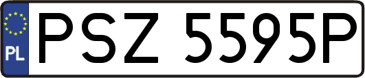 PSZ5595P