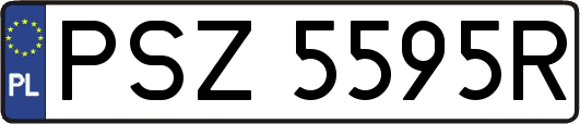 PSZ5595R