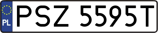 PSZ5595T