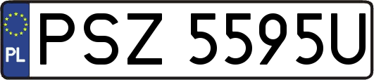 PSZ5595U