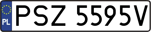 PSZ5595V