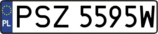 PSZ5595W