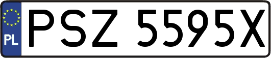 PSZ5595X