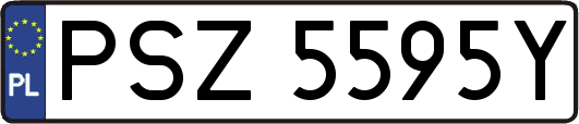 PSZ5595Y