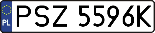 PSZ5596K