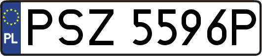 PSZ5596P