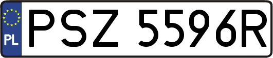 PSZ5596R