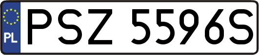PSZ5596S