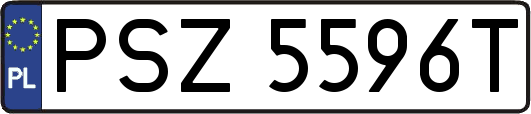 PSZ5596T