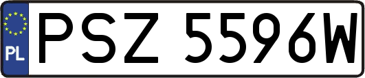 PSZ5596W
