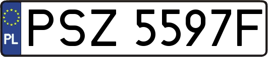 PSZ5597F
