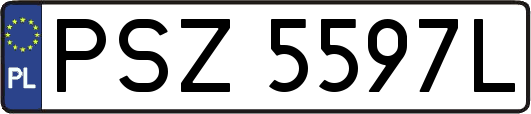 PSZ5597L