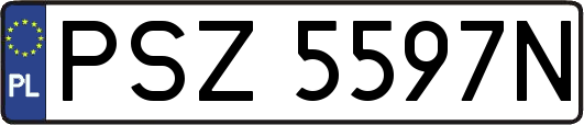 PSZ5597N