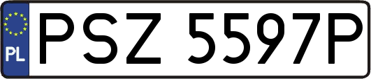PSZ5597P