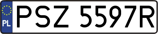 PSZ5597R