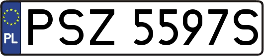 PSZ5597S