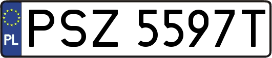 PSZ5597T