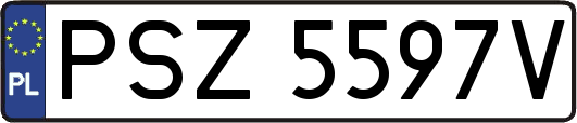 PSZ5597V