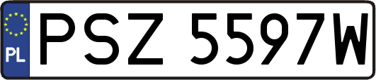 PSZ5597W