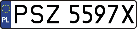 PSZ5597X
