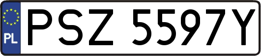 PSZ5597Y