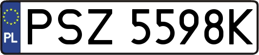 PSZ5598K