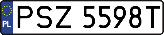 PSZ5598T