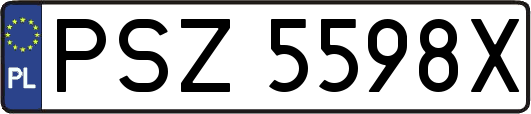 PSZ5598X
