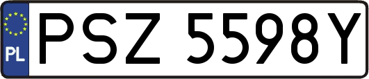 PSZ5598Y