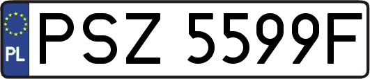PSZ5599F