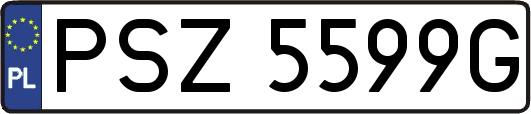 PSZ5599G