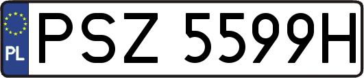 PSZ5599H