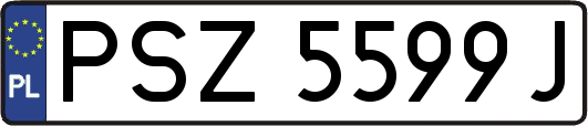 PSZ5599J